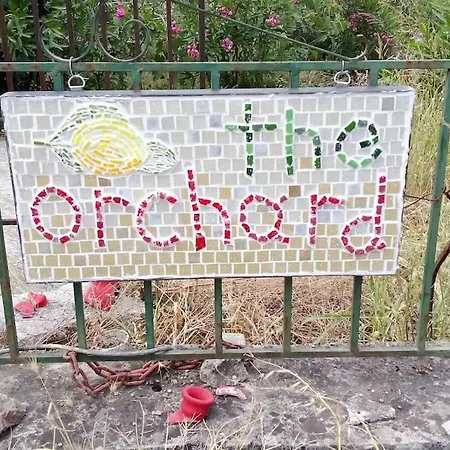 Friendly Orchard Oasis In Corfu's Tranquil Heart *