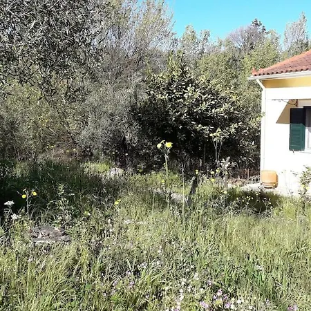 別荘 Friendly Orchard Oasis In Corfu's Tranquil Heart Vigglatouri